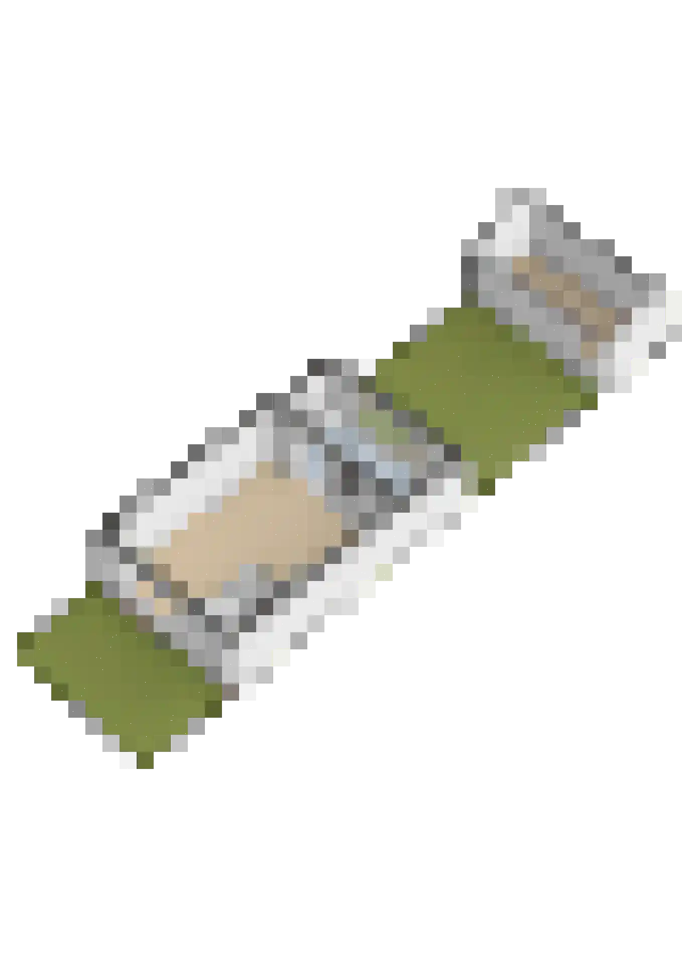 1e Poellaan 52 Lisse thumbnail 33