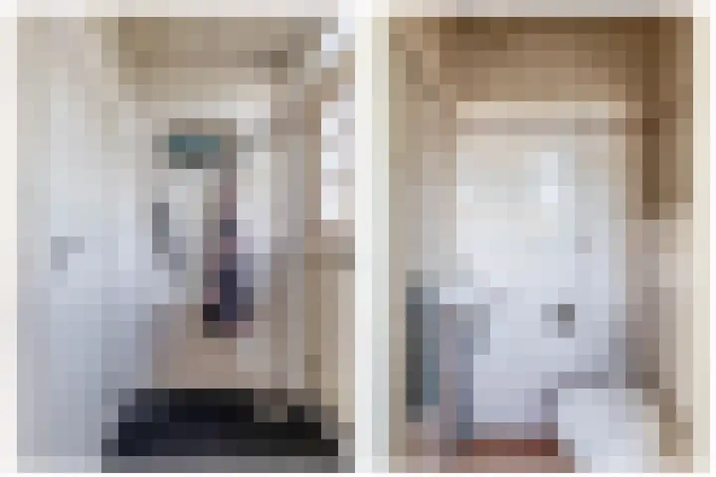 1e Poellaan 52 Lisse thumbnail 6