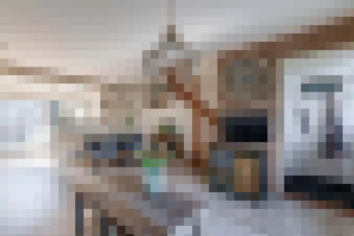 1e Poellaan 52 Lisse thumbnail 7