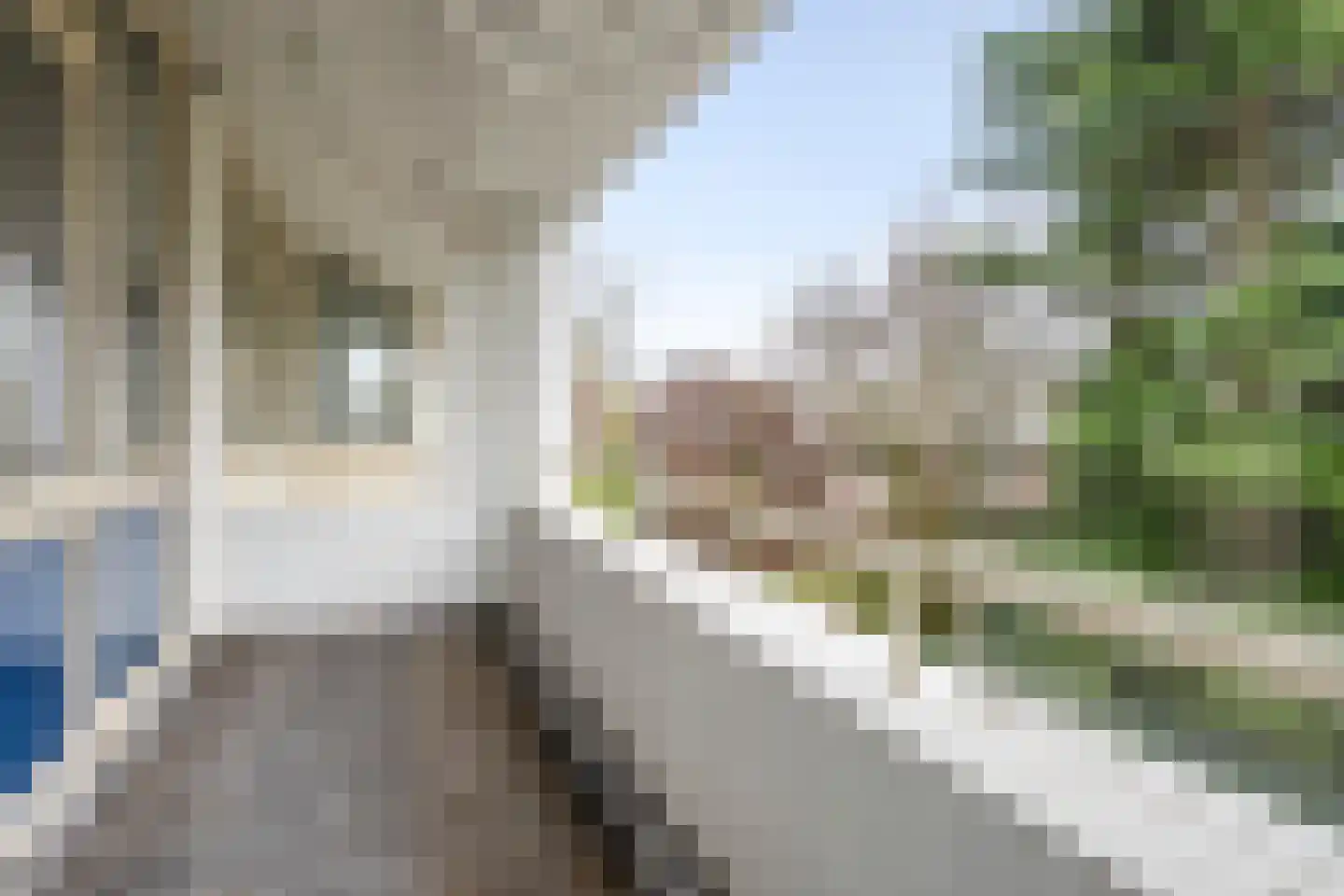 1e Poellaan 68 Lisse thumbnail 27