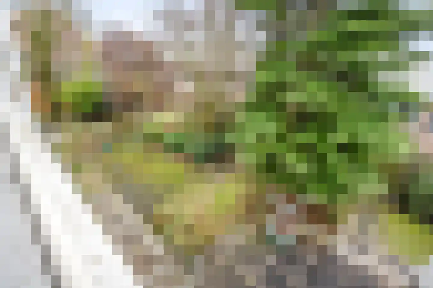 1e Poellaan 68 Lisse thumbnail 28