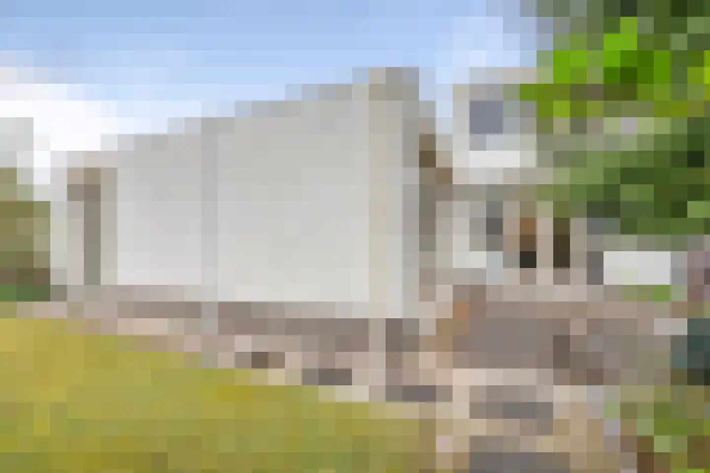 1e Poellaan 68 Lisse thumbnail 41