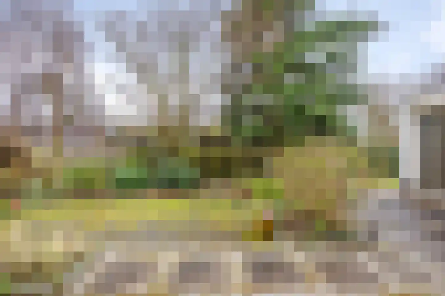 1e Poellaan 68 Lisse thumbnail 42