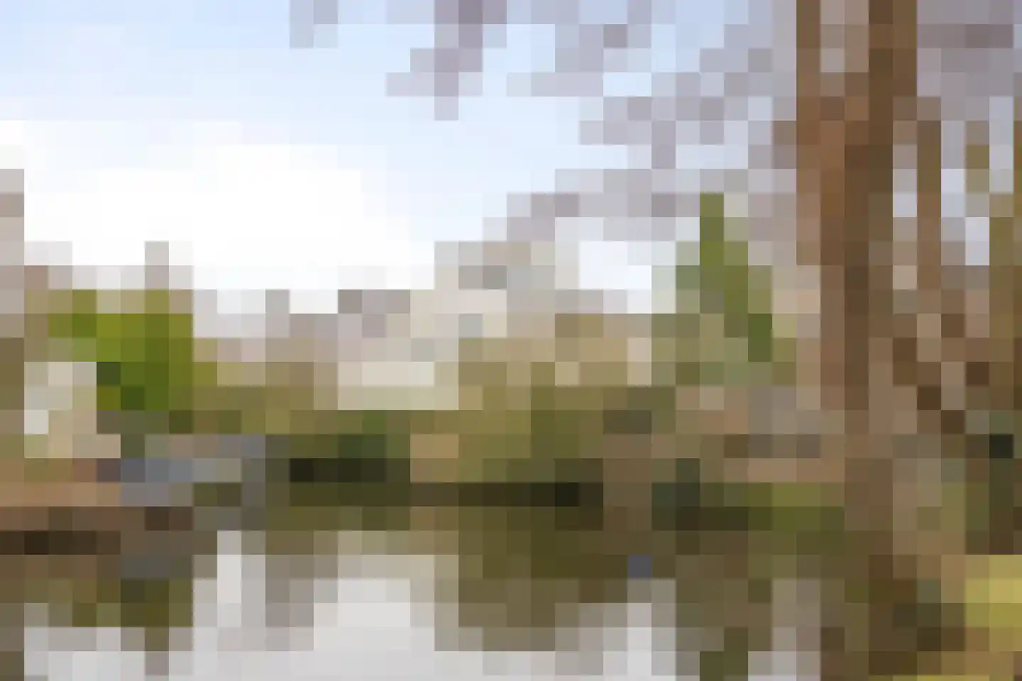1e Poellaan 68 Lisse thumbnail 50