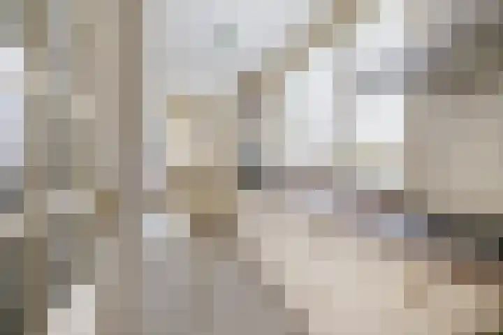 1e Poellaan 70 Lisse thumbnail 14