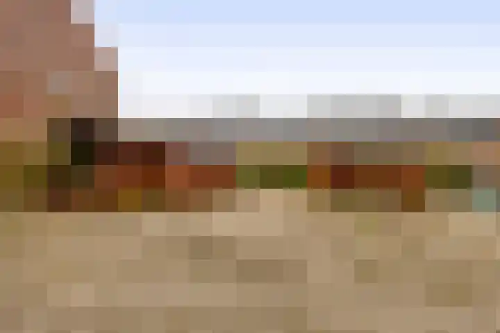 1e Poellaan 70 Lisse thumbnail 17