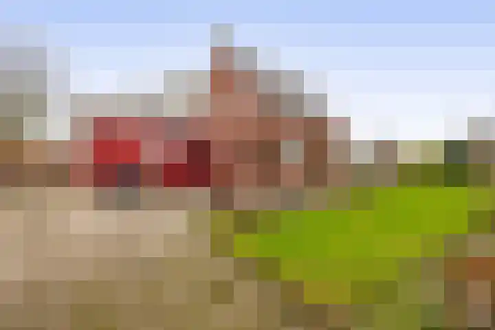 1e Poellaan 70 Lisse thumbnail 19