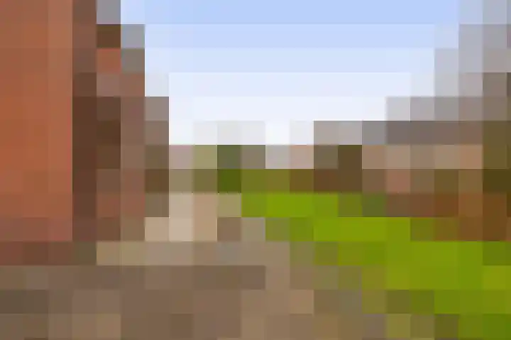 1e Poellaan 70 Lisse thumbnail 20