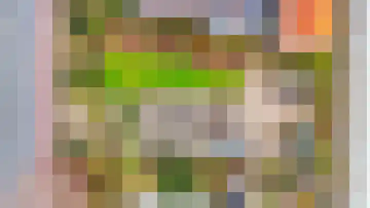 1e Poellaan 70 Lisse thumbnail 22
