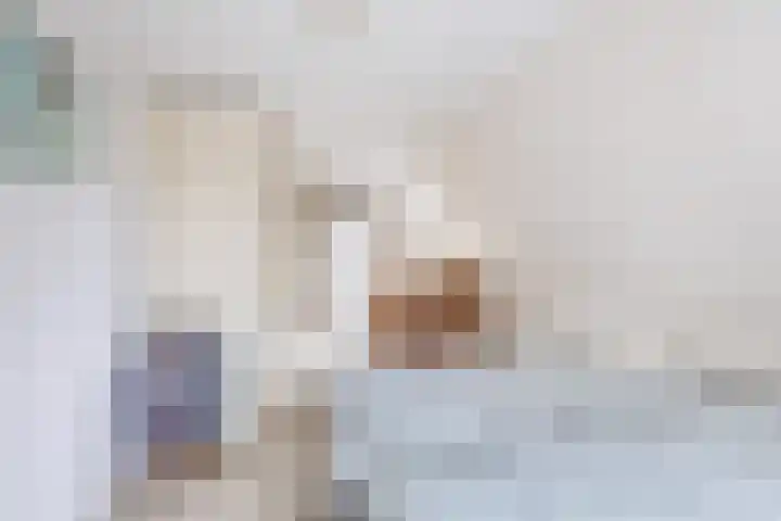 1e Poellaan 70 Lisse thumbnail 24