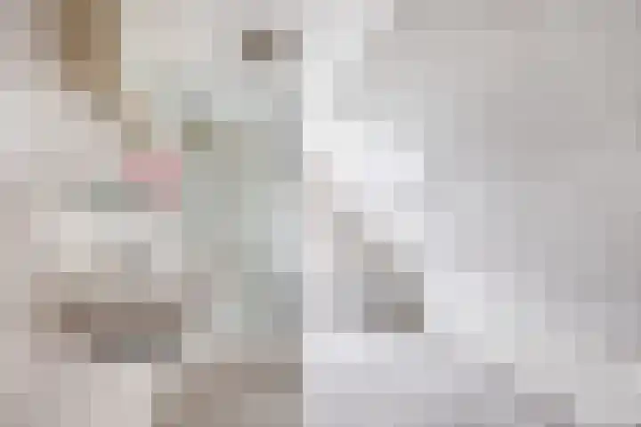 1e Poellaan 70 Lisse thumbnail 25