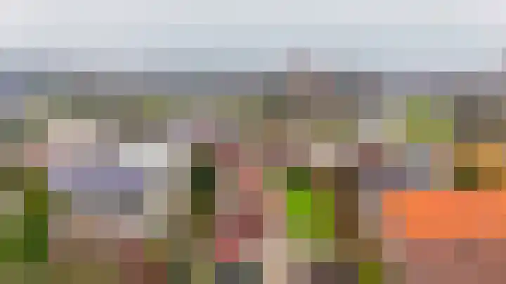 1e Poellaan 70 Lisse thumbnail 36