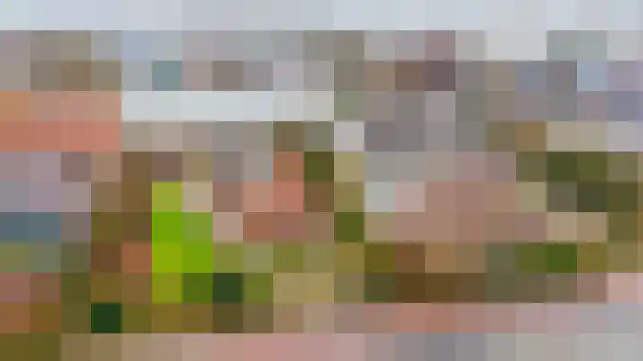 1e Poellaan 70 Lisse thumbnail 37