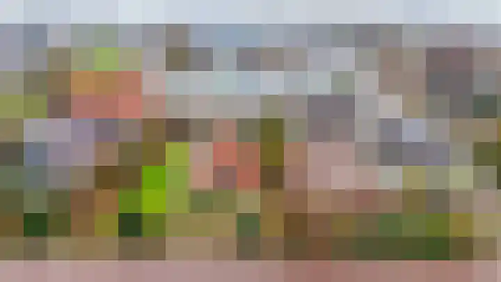 1e Poellaan 70 Lisse thumbnail 38