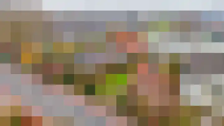1e Poellaan 70 Lisse thumbnail 39