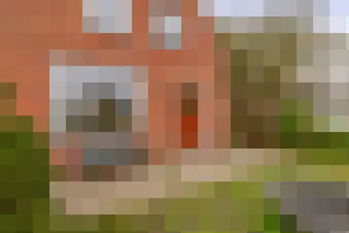 1e Poellaan 70 Lisse thumbnail 4