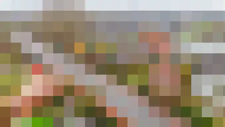 1e Poellaan 70 Lisse thumbnail 40