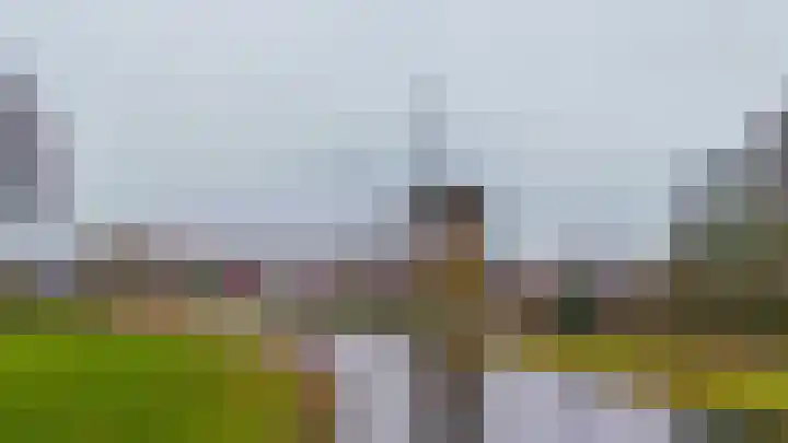 1e Poellaan 70 Lisse thumbnail 41