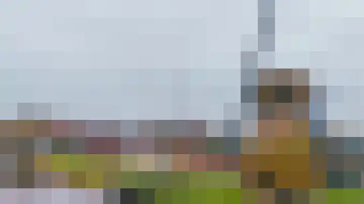 1e Poellaan 70 Lisse thumbnail 42