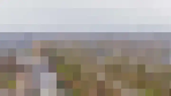 1e Poellaan 70 Lisse thumbnail 43