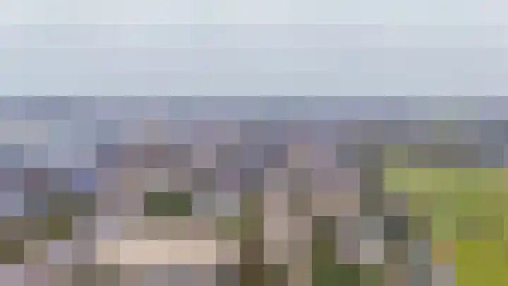 1e Poellaan 70 Lisse thumbnail 44
