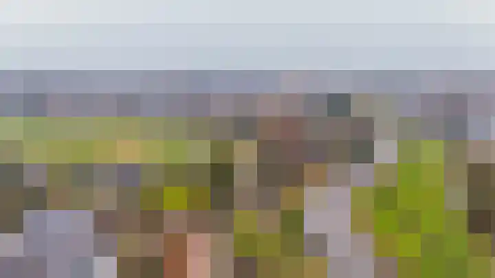 1e Poellaan 70 Lisse thumbnail 45