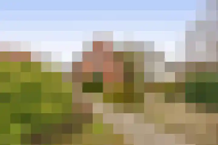 1e Poellaan 70 Lisse thumbnail 46