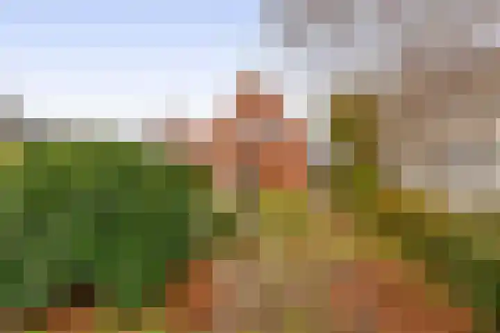 1e Poellaan 70 Lisse thumbnail 47