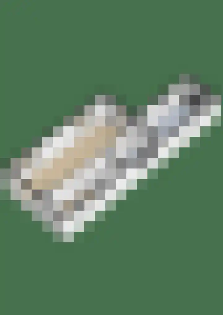 1e Poellaan 70 Lisse thumbnail 49