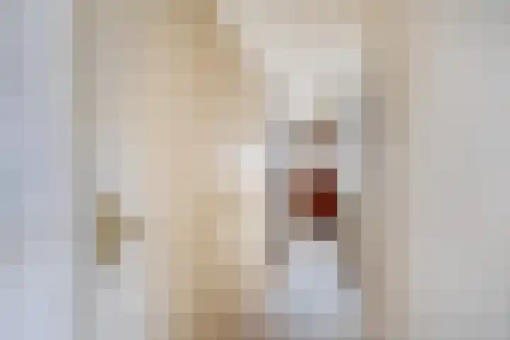 1e Poellaan 70 Lisse thumbnail 6