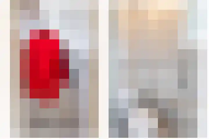 1e Poellaan 70 Lisse thumbnail 7