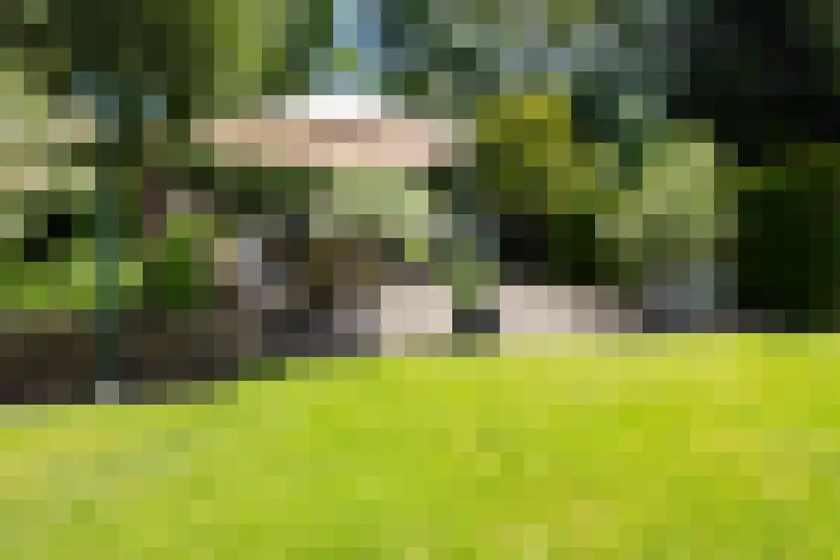 1e Polderweg 10 Beerzerveld thumbnail 11