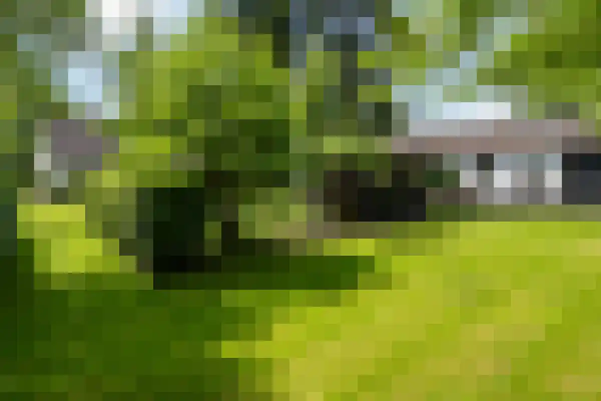 1e Polderweg 10 Beerzerveld thumbnail 13