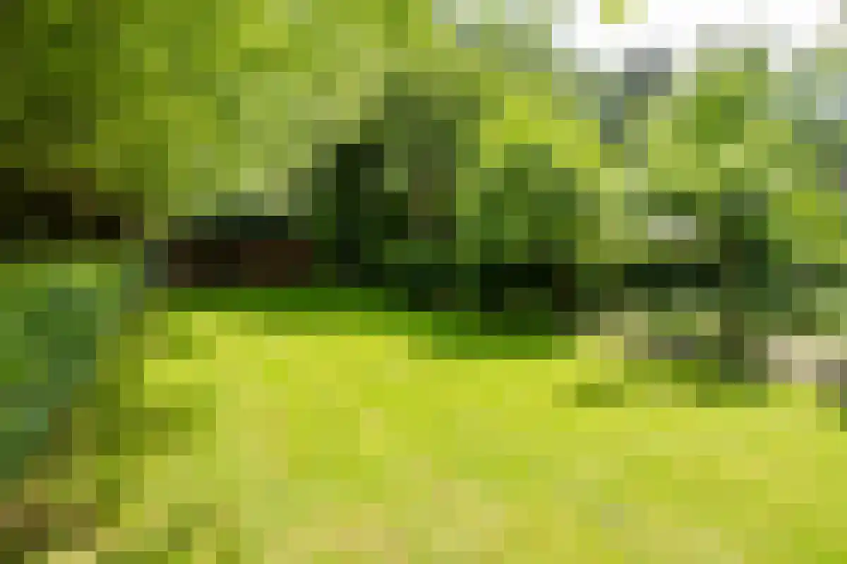 1e Polderweg 10 Beerzerveld thumbnail 14