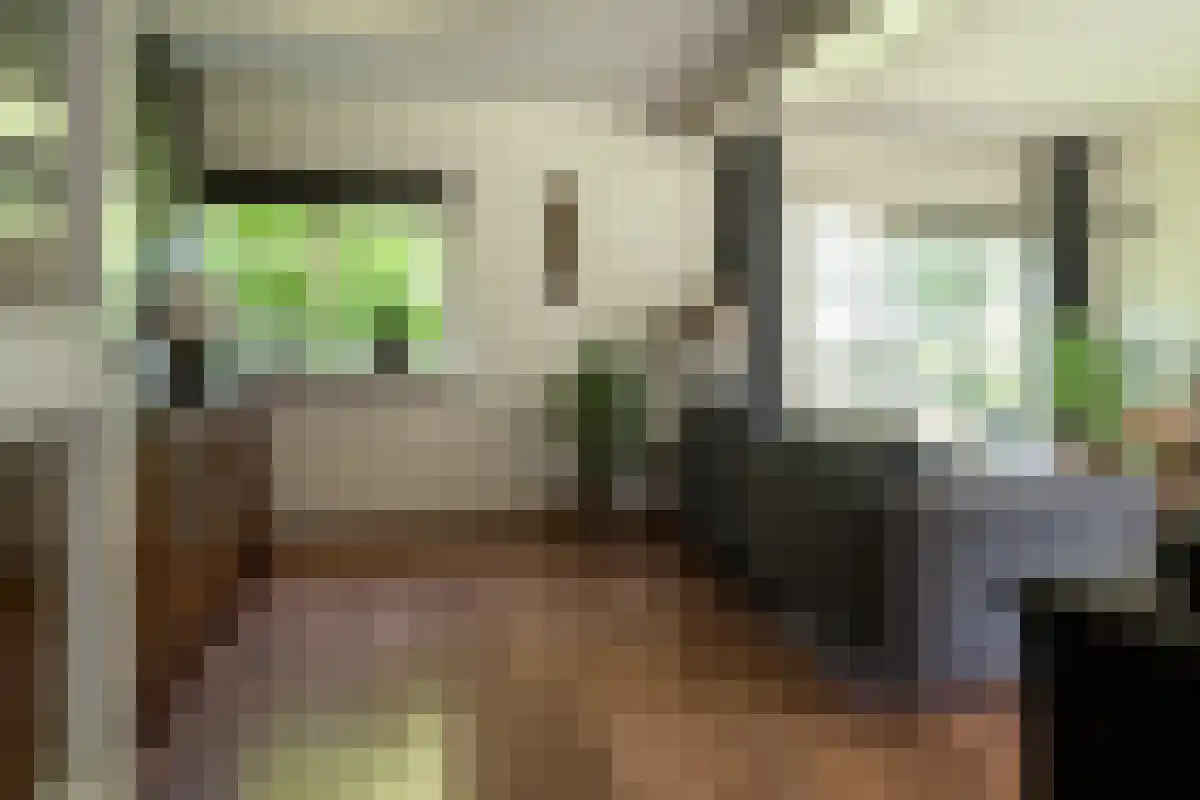 1e Polderweg 10 Beerzerveld thumbnail 18