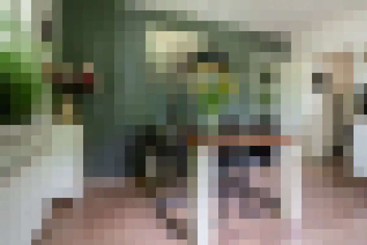 1e Polderweg 10 Beerzerveld thumbnail 23