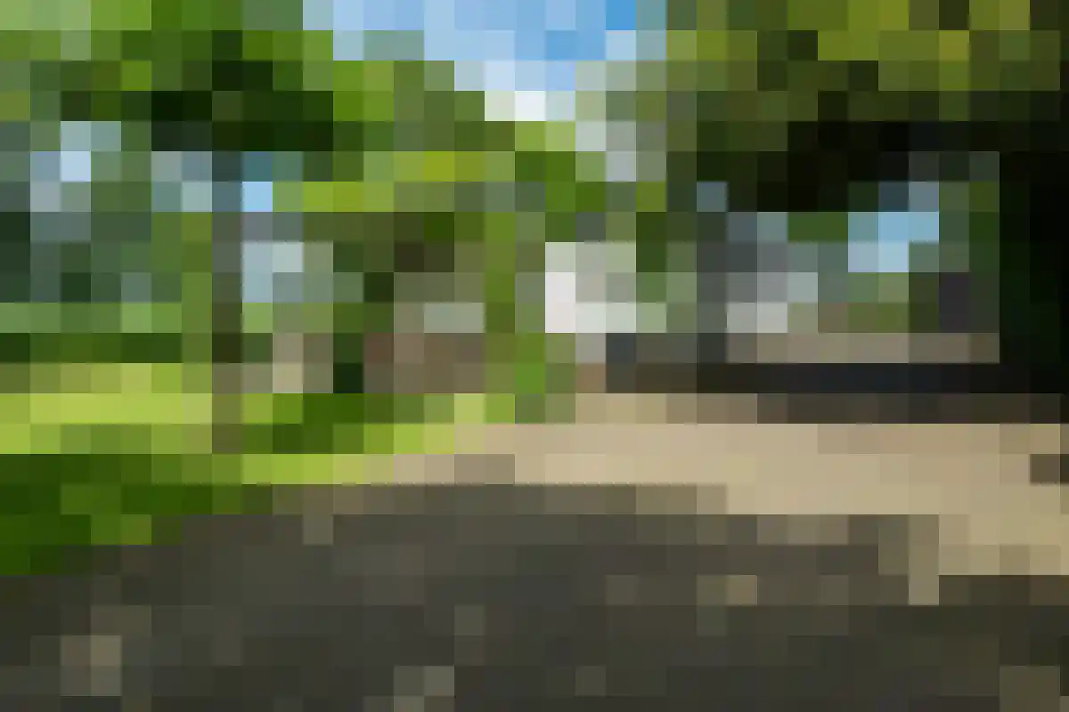 1e Polderweg 10 Beerzerveld thumbnail 7