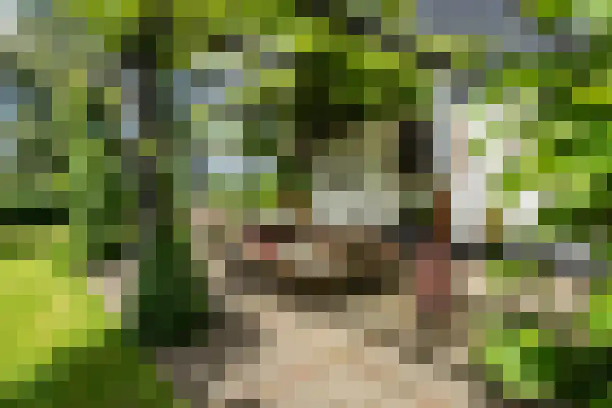 1e Polderweg 10 Beerzerveld thumbnail 8
