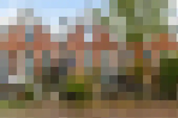1e Rembrandtdwarsstraat 17 Leeuwarden thumbnail 22