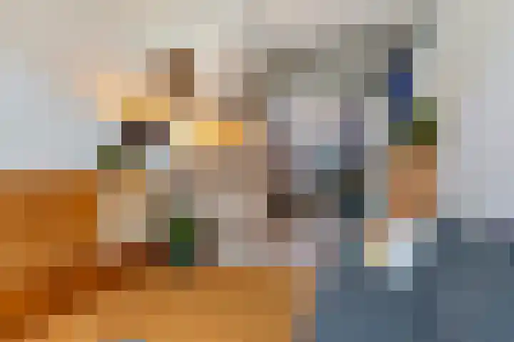1e Rembrandtdwarsstraat 3 Leeuwarden thumbnail 9