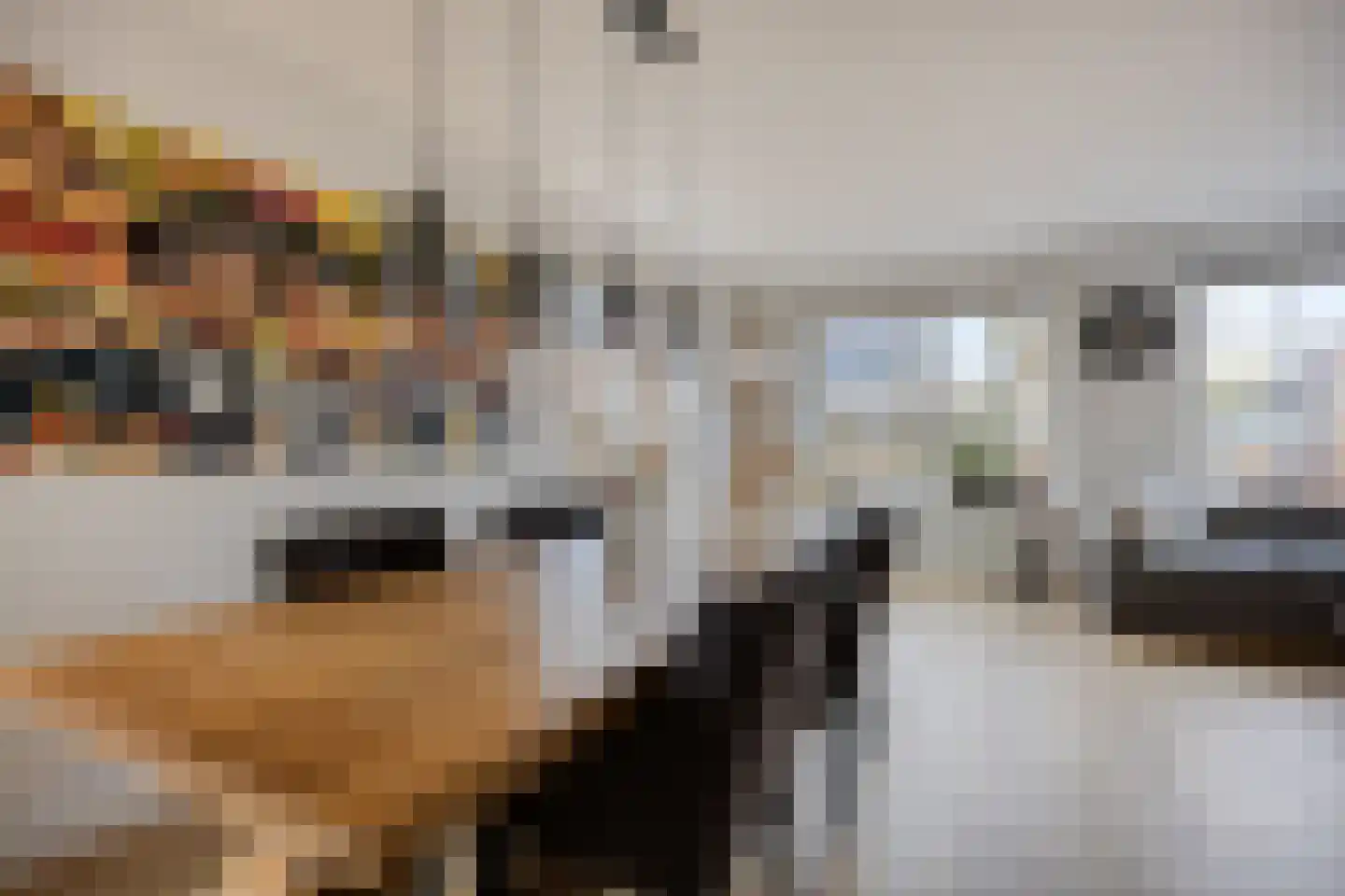 1e Rozenstraat 1 b Lutjebroek thumbnail 10