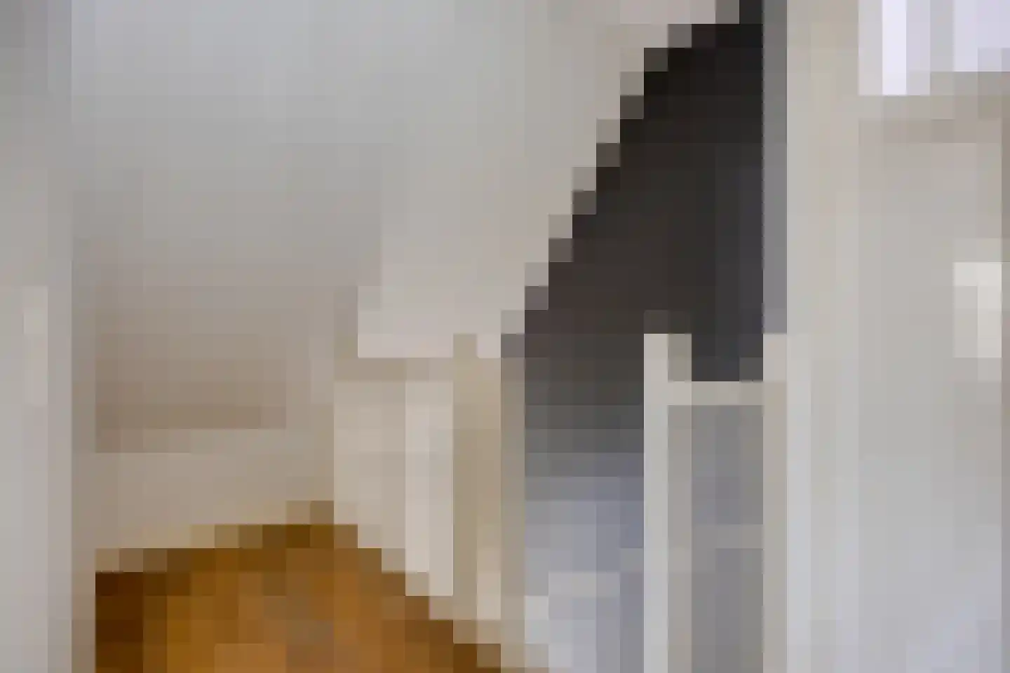 1e Rozenstraat 1 b Lutjebroek thumbnail 20