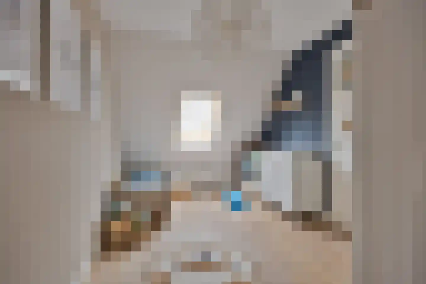 1e Rozenstraat 1 b Lutjebroek thumbnail 29