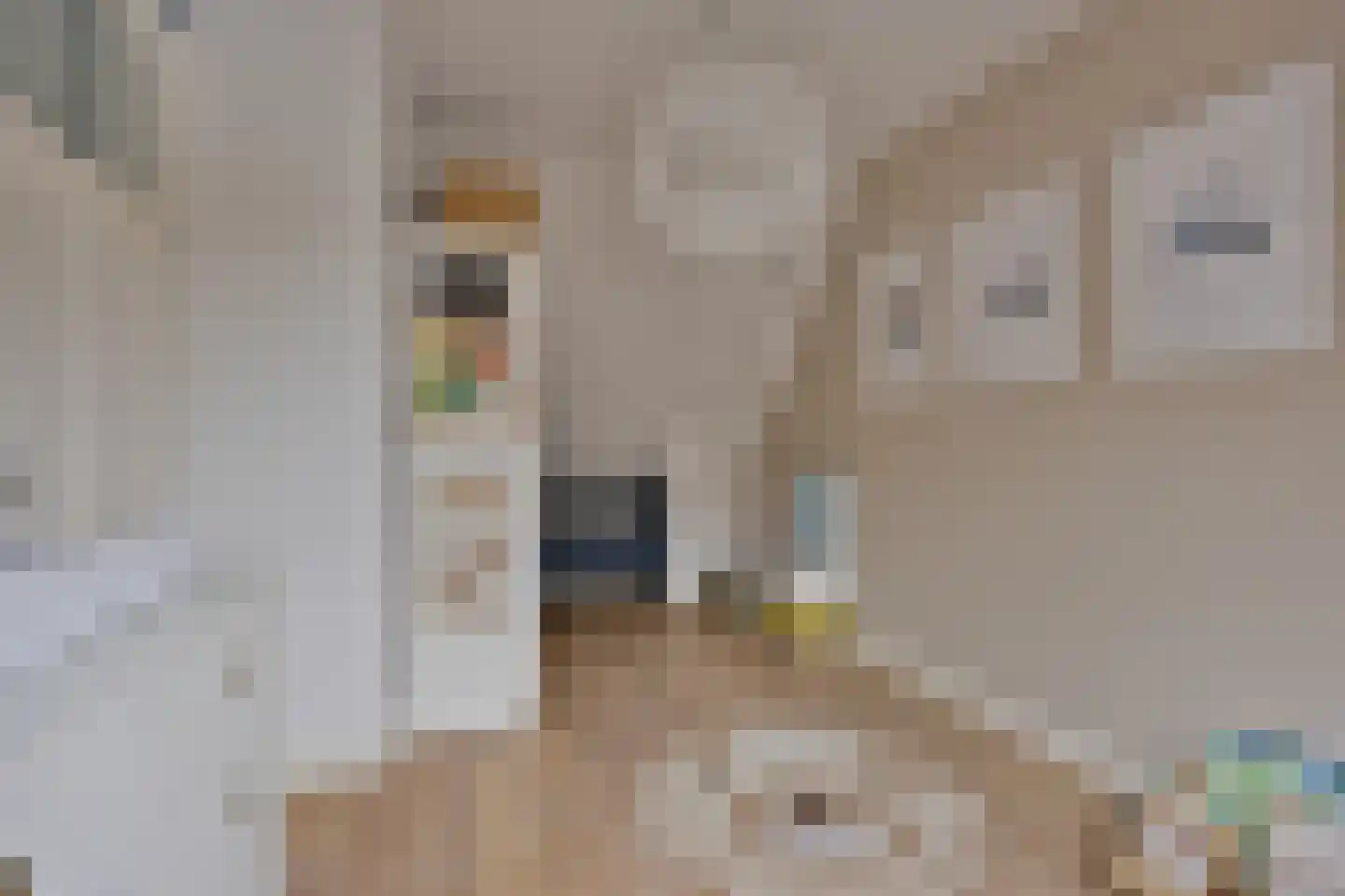 1e Rozenstraat 1 b Lutjebroek thumbnail 30