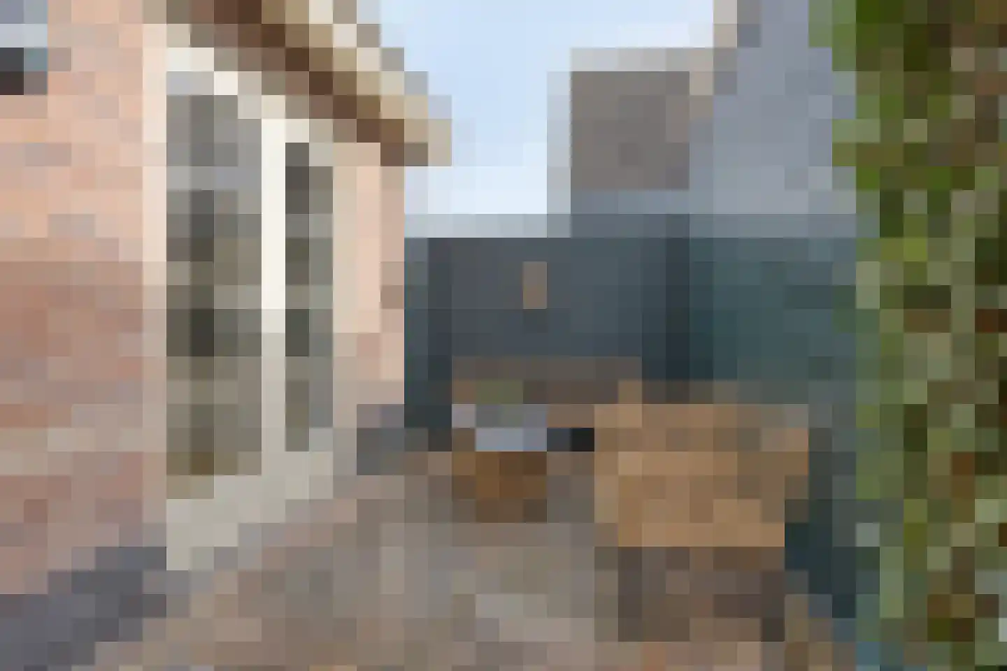 1e Rozenstraat 1 b Lutjebroek thumbnail 31