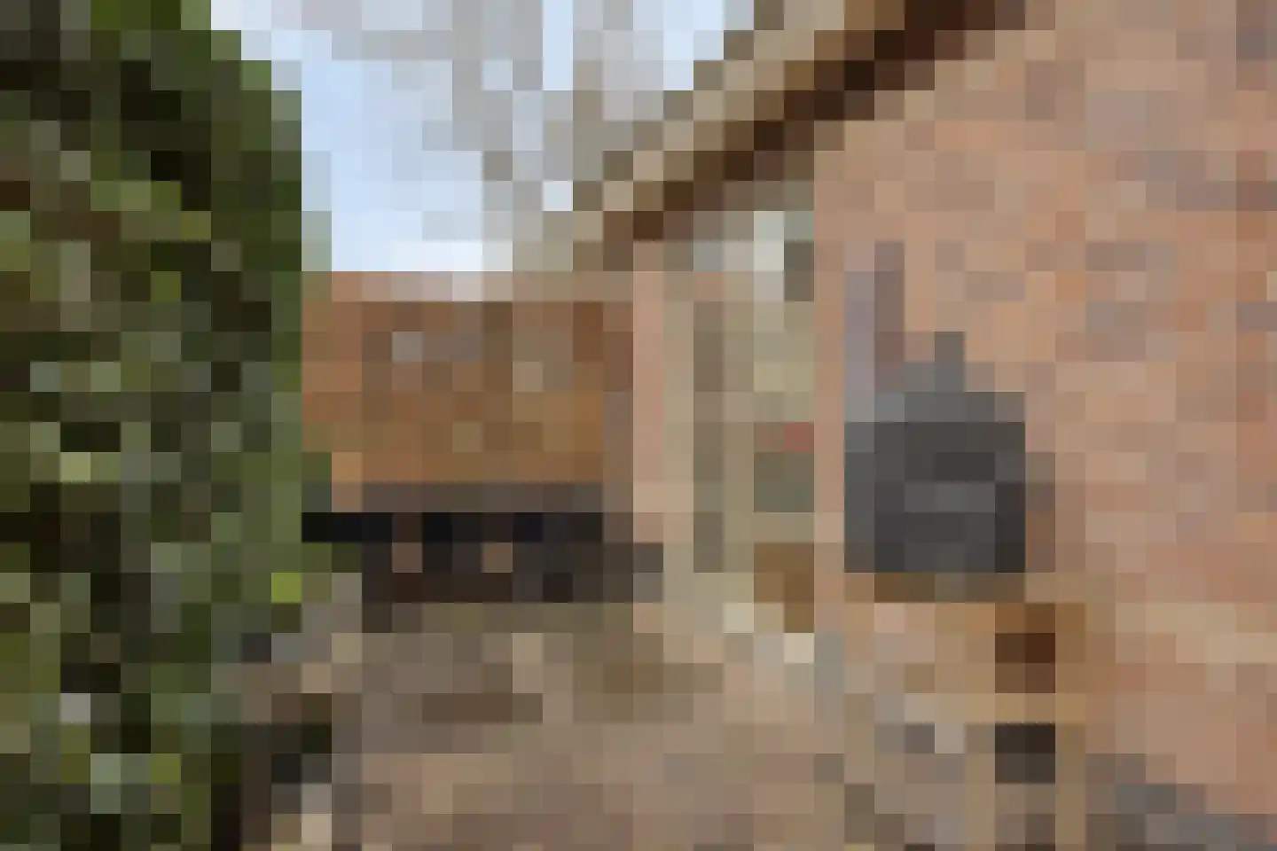 1e Rozenstraat 1 b Lutjebroek thumbnail 33
