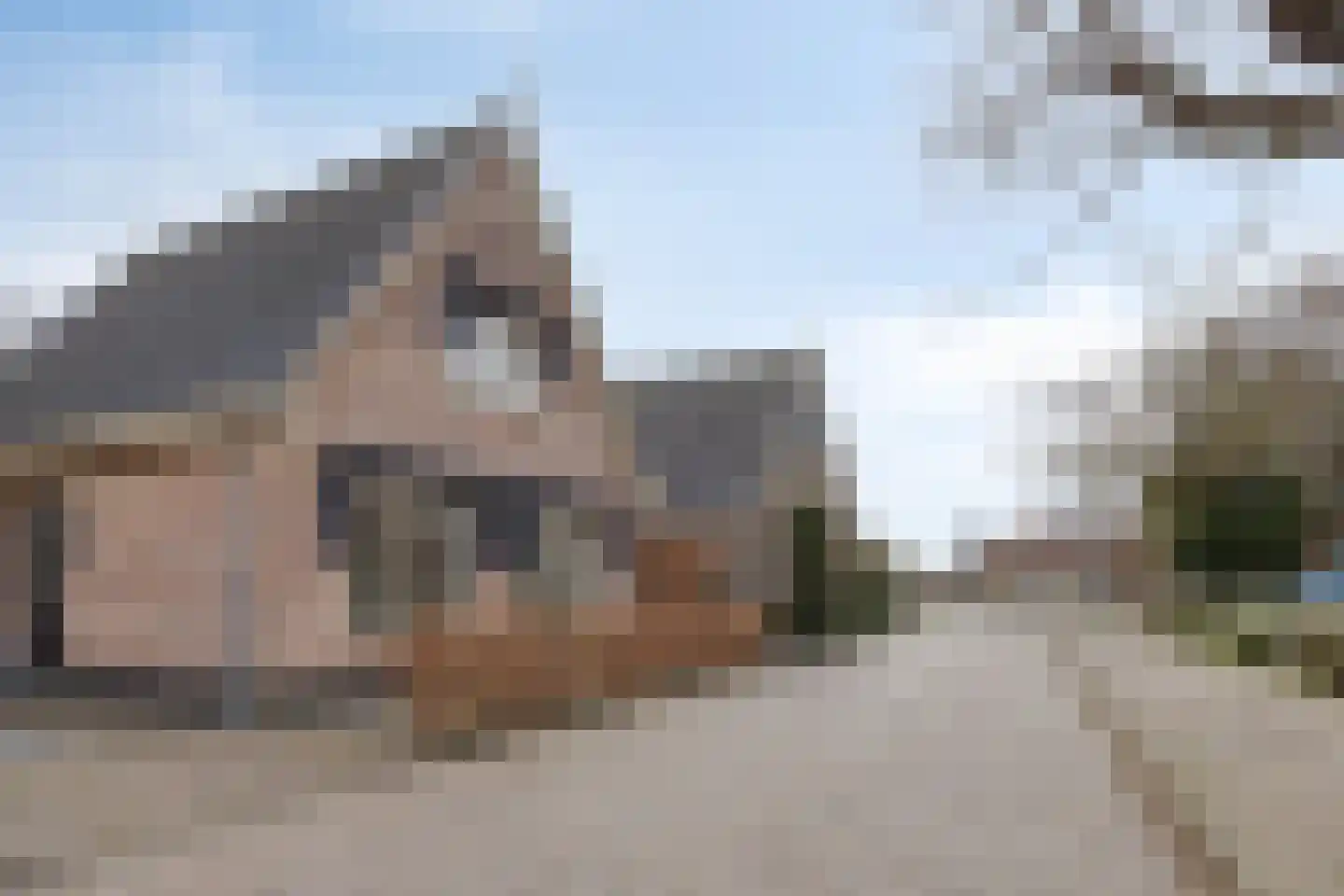 1e Rozenstraat 1 b Lutjebroek thumbnail 34