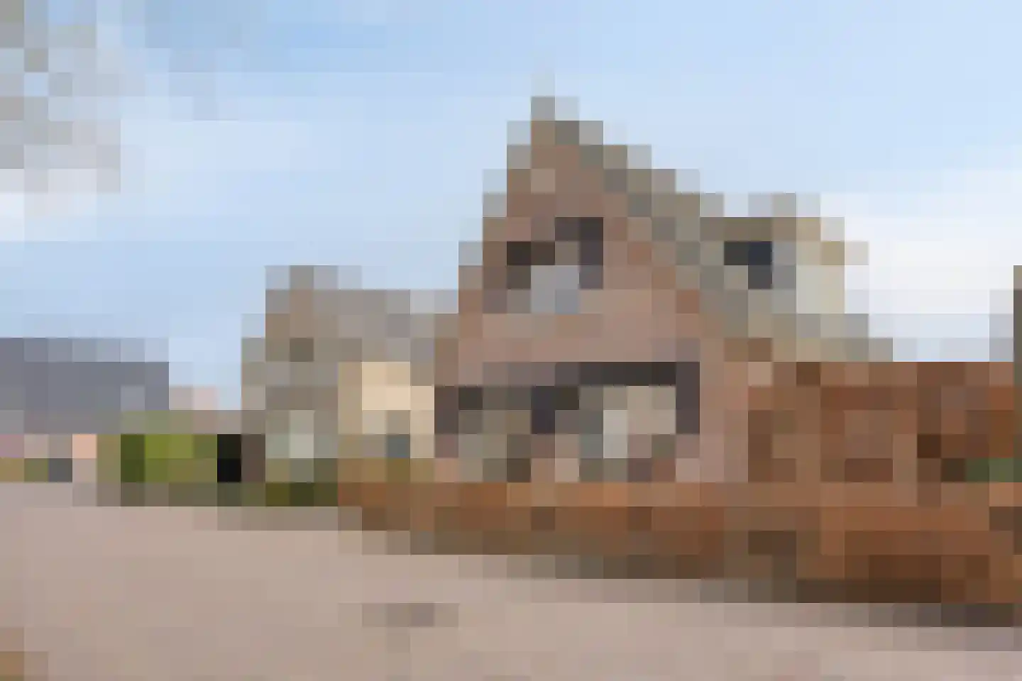 1e Rozenstraat 1 b Lutjebroek thumbnail 37