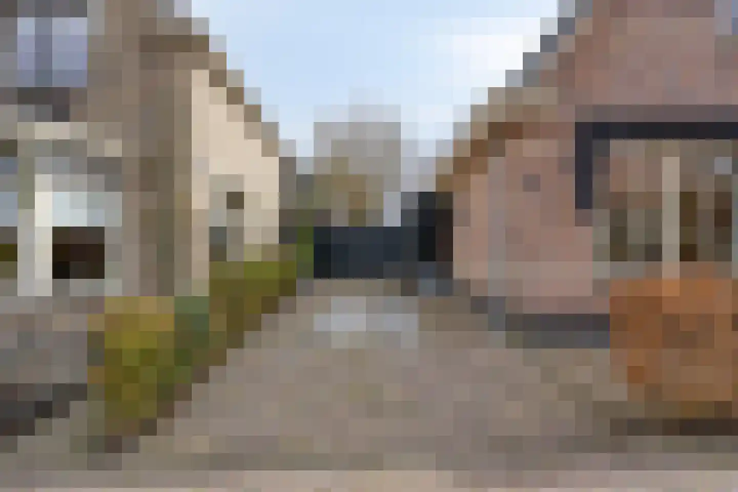 1e Rozenstraat 1 b Lutjebroek thumbnail 6