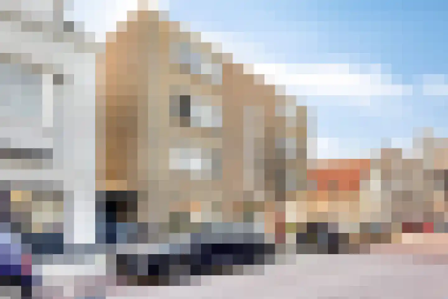 1e Scheepvaartstraat 44 A Hoek van Holland thumbnail 8